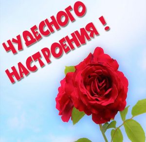Скачать бесплатно Картинка чудесного настроения на сайте WishesCards.ru