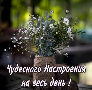 Скачать бесплатно Картинка чудесного настроения на весь день красивая на сайте WishesCards.ru