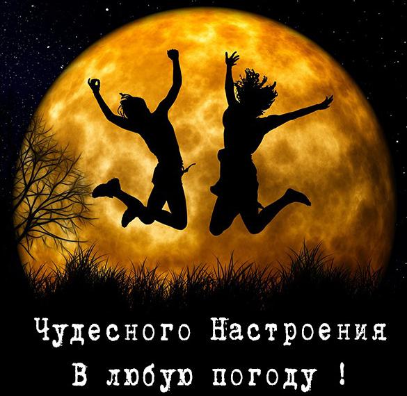 Скачать бесплатно Картинка чудесного настроения в любую погоду на сайте WishesCards.ru
