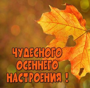 Скачать бесплатно Картинка чудесного осеннего настроения на сайте WishesCards.ru