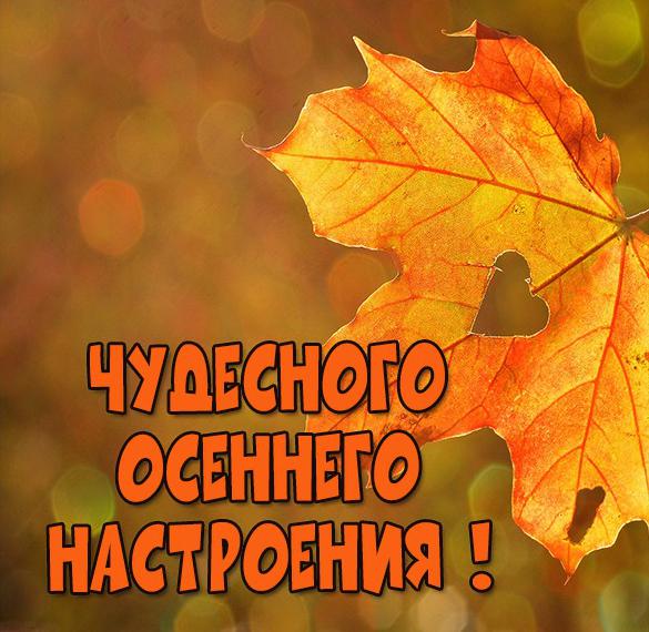 Скачать бесплатно Картинка чудесного осеннего настроения на сайте WishesCards.ru