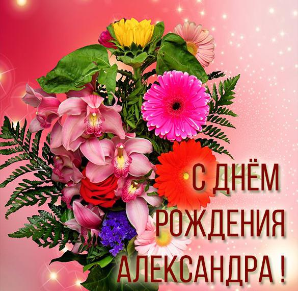 Скачать бесплатно Картинка для Александры с днем рождения девушке на сайте WishesCards.ru
