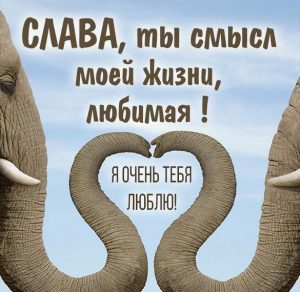 Скачать бесплатно Картинка для любимой Славы на сайте WishesCards.ru