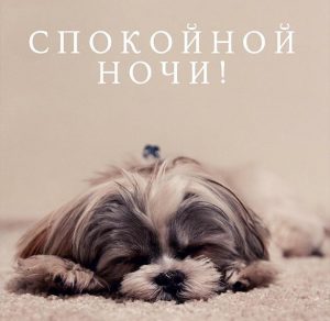 Скачать бесплатно Картинка добрая спокойной ночи на сайте WishesCards.ru