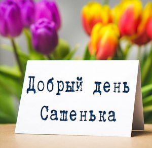 Скачать бесплатно Картинка добрый день Сашенька на сайте WishesCards.ru