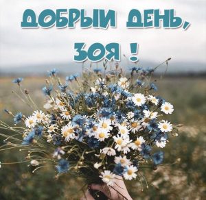 Скачать бесплатно Картинка добрый день Зоя на сайте WishesCards.ru