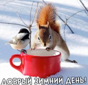 Скачать бесплатно Картинка добрый зимний день на сайте WishesCards.ru