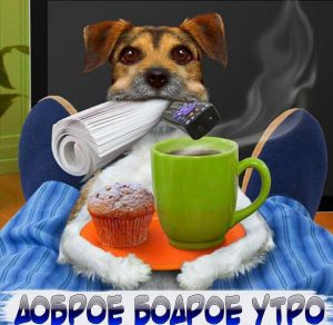 Скачать бесплатно Картинка доброе бодрое утро прикольная с животными на сайте WishesCards.ru