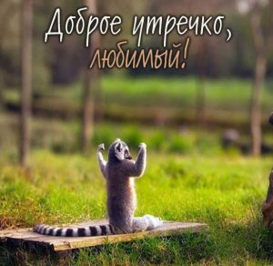 Скачать бесплатно Картинка доброе утречко любимый прикольная на сайте WishesCards.ru