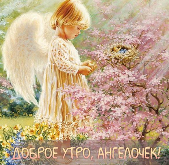 Скачать бесплатно Картинка доброе утро ангелочек девушке на сайте WishesCards.ru