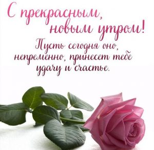 Скачать бесплатно Картинка доброе утро девушке своими словами на сайте WishesCards.ru