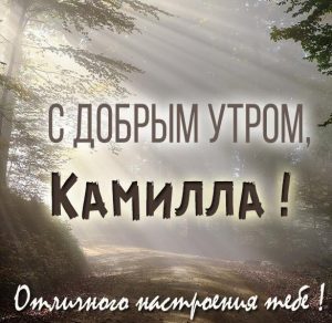 Скачать бесплатно Картинка доброе утро Камилла с надписями на сайте WishesCards.ru