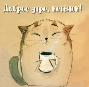Скачать бесплатно Картинка доброе утро котенок прикольная на сайте WishesCards.ru