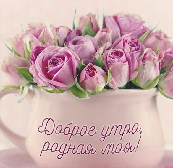 Скачать бесплатно Картинка доброе утро красивая для девушки на сайте WishesCards.ru