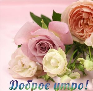 Скачать бесплатно Картинка доброе утро красивая с надписью девушке на сайте WishesCards.ru