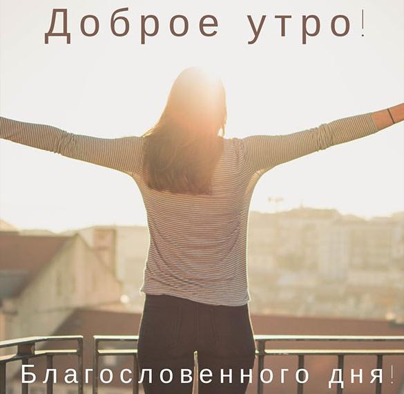 Скачать бесплатно Картинка доброе утро красивая с прекрасными пожеланием на сайте WishesCards.ru