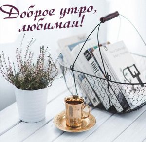 Скачать бесплатно Картинка доброе утро любимая красивая на русском на сайте WishesCards.ru
