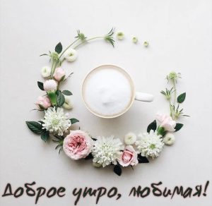 Скачать бесплатно Картинка доброе утро любимая красивая необычная на сайте WishesCards.ru