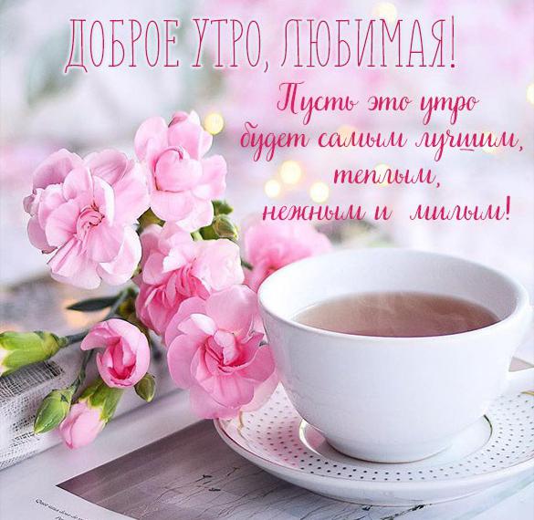 Скачать бесплатно Картинка доброе утро любимая красивая необычная прикольная на сайте WishesCards.ru