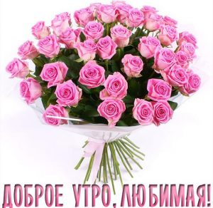 Скачать бесплатно Картинка доброе утро любимая красивые цветы на сайте WishesCards.ru
