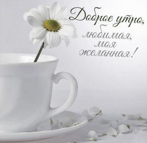 Скачать бесплатно Картинка доброе утро любимая моя желанная на сайте WishesCards.ru