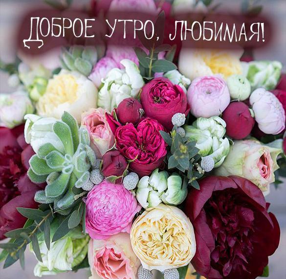 Скачать бесплатно Картинка доброе утро любимая романтичная с надписью на сайте WishesCards.ru