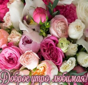 Скачать бесплатно Картинка доброе утро любимой девушке цветы на сайте WishesCards.ru