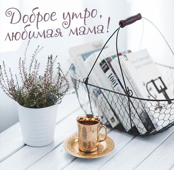 Скачать бесплатно Картинка доброе утро любимой маме на сайте WishesCards.ru