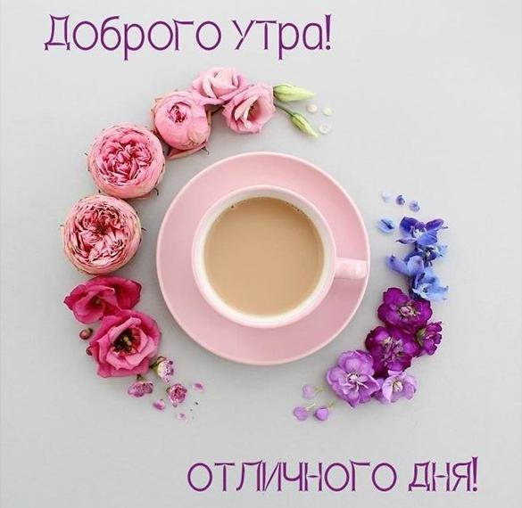 Скачать бесплатно Картинка доброе утро отличного дня пожелание на сайте WishesCards.ru