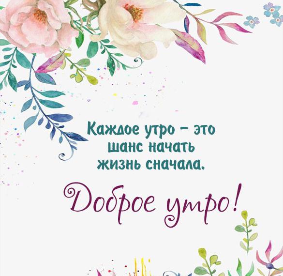 Скачать бесплатно Картинка доброе утро позитивная девушке на сайте WishesCards.ru