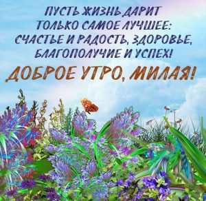 Скачать бесплатно Картинка доброе утро позитивная прикольная девушке на сайте WishesCards.ru