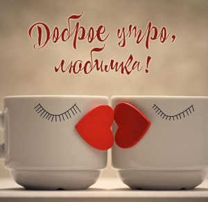 Скачать бесплатно Картинка доброе утро прикольная любимка на сайте WishesCards.ru