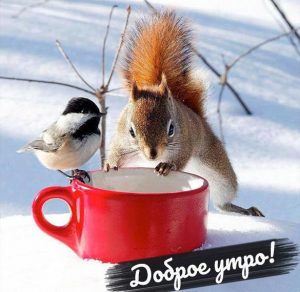 Скачать бесплатно Картинка доброе утро со снегом прикольная на сайте WishesCards.ru