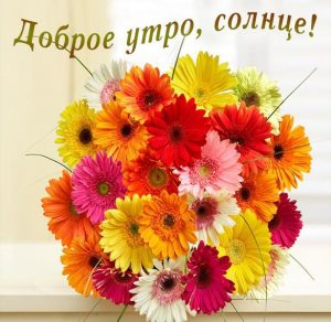 Скачать бесплатно Картинка доброе утро солнце цветы на сайте WishesCards.ru