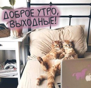 Скачать бесплатно Картинка доброе утро выходные лаконичная с юмором на сайте WishesCards.ru