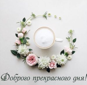 Скачать бесплатно Картинка доброго прекрасного дня на сайте WishesCards.ru