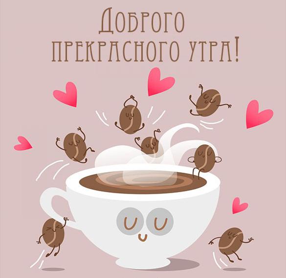 Скачать бесплатно Картинка доброго прекрасного утра позитивная на сайте WishesCards.ru