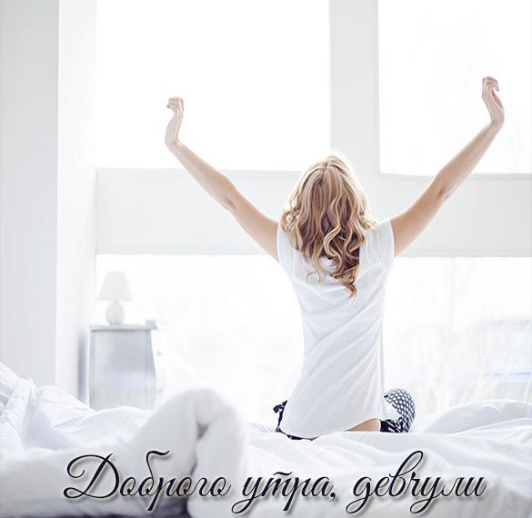 Скачать бесплатно Картинка доброго утра девчули на сайте WishesCards.ru
