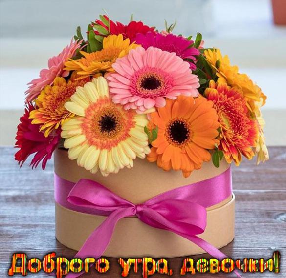 Скачать бесплатно Картинка доброго утра девочки с надписью на сайте WishesCards.ru