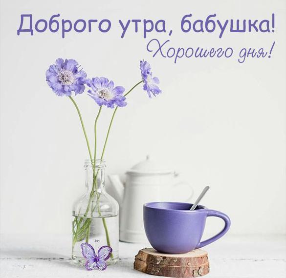 Скачать бесплатно Картинка доброго утра хорошего дня для бабушки на сайте WishesCards.ru
