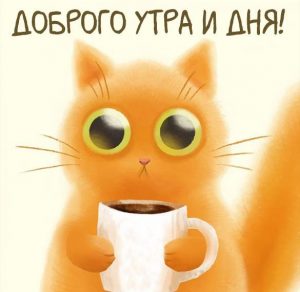 Скачать бесплатно Картинка доброго утра и дня на сайте WishesCards.ru