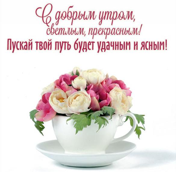 Скачать бесплатно Картинка доброго утра и прекрасного настроения красивая на сайте WishesCards.ru