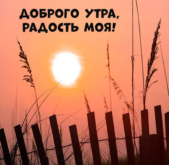Скачать бесплатно Картинка доброго утра радость моя на сайте WishesCards.ru