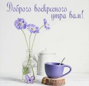 Скачать бесплатно Картинка доброго воскресного утра вам на сайте WishesCards.ru