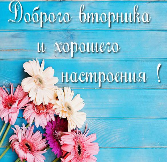 Скачать бесплатно Картинка доброго вторника и хорошего настроения на сайте WishesCards.ru