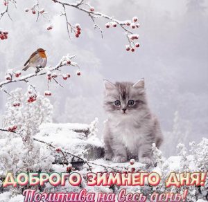 Скачать бесплатно Картинка доброго зимнего дня позитива на сайте WishesCards.ru