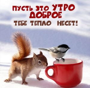Скачать бесплатно Картинка доброго зимнего утра милая на сайте WishesCards.ru
