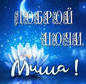 Скачать бесплатно Картинка доброй ночи Миша на сайте WishesCards.ru