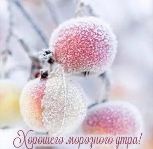 Скачать бесплатно Картинка хорошего морозного утра на сайте WishesCards.ru