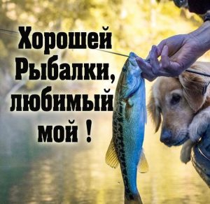 Скачать бесплатно Картинка хорошей рыбалки любимый на сайте WishesCards.ru